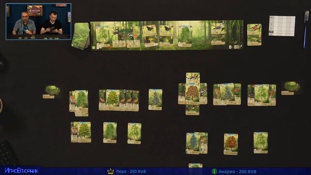 Играем в настольную игру Смешанный Лес