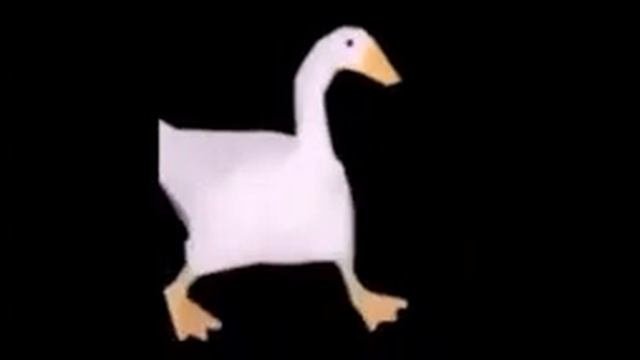ГуСь ТаНцУеТ.