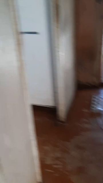 ВЕНТИЛЯТОР НЕ ВЫПУСКАЕТ ИЗ ДОМА!!!