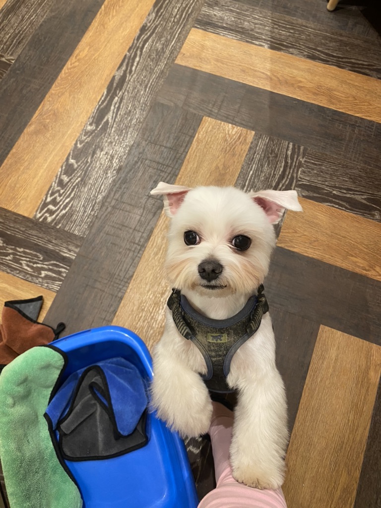 Тоща #I love it.❤️#