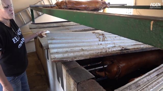 Lechonera - Roasted Pork in Puerto Rico