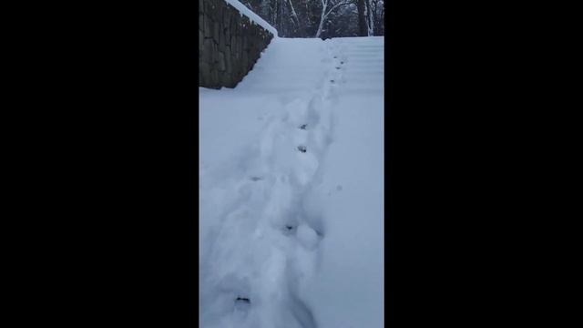 сняг в Хасково