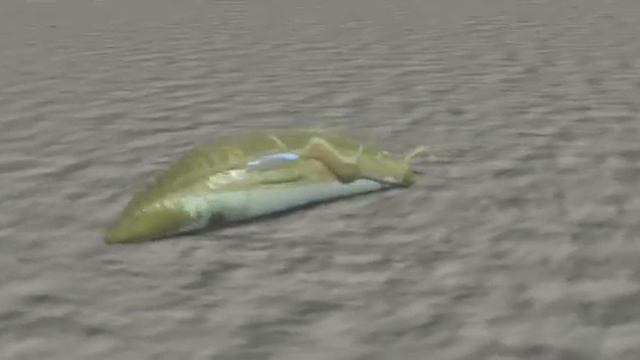 3D Worm - Yavanna3d