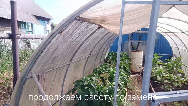 Теплица простояла 17 лет
Теплица горячего оцинкованния. 
Теплицы Рич