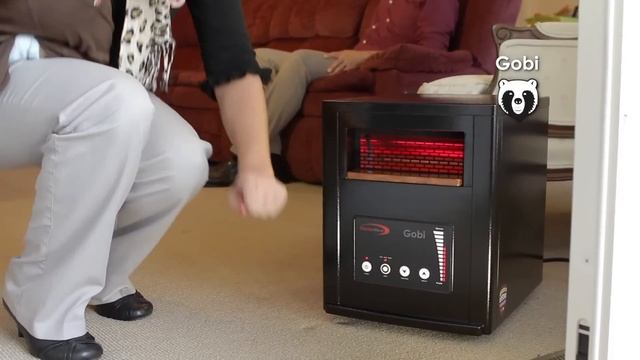 Gobi Infrared Zone Heater