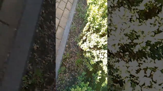 обзор всех остановок во дворе