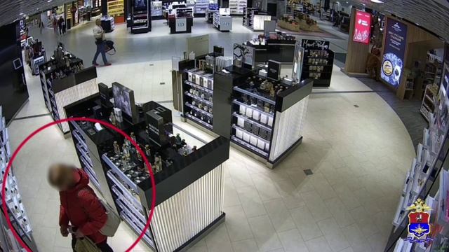 Работница кафе в аэропорту Домодедово уличена в кражах товаров из магазина беспошлинной торговли