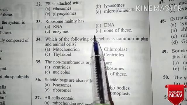 Mock test 13 ( Cell structure and functions)