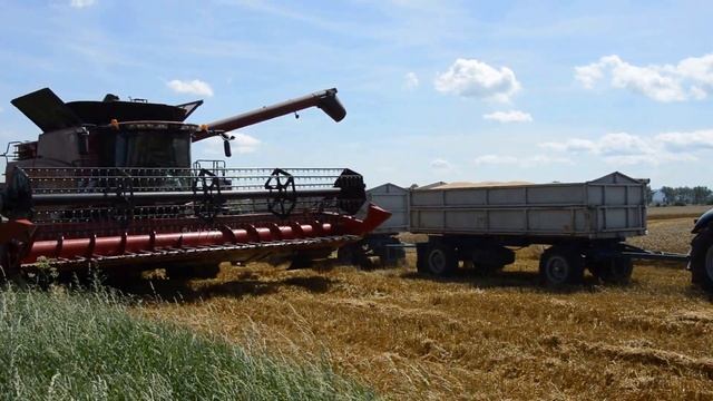 Combine harvester Case IH Axial Flow 6140 at work.