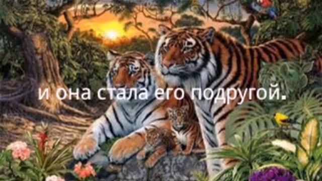 История бездомного котёнка 2(моя анимация).