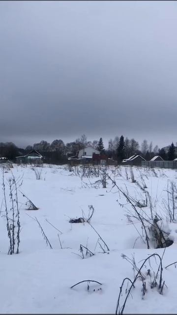 д. Александрово 50:18:0080307:1542