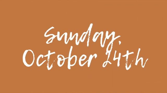 WEEKEND CHAOS & LONG WALKS 🍂🛒🚙 | Life In A Nutshell (And A Stunning New Book!)