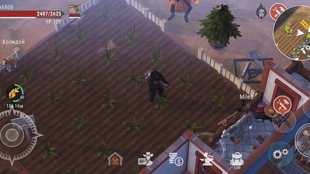 Westland Survival