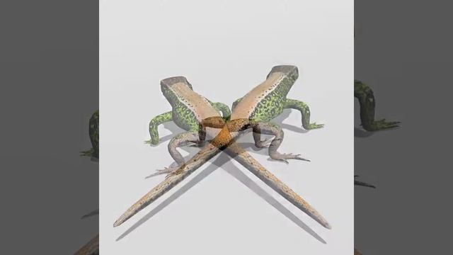 3dmodel sand lizard lacerta agilis at 3dexport.com