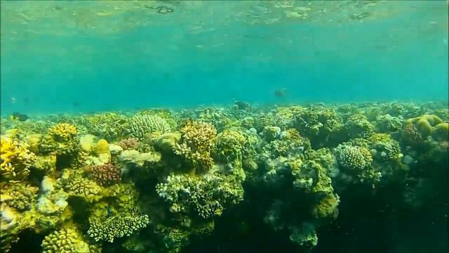 GoPro Hero: Brayka Bay - Morning - day 4