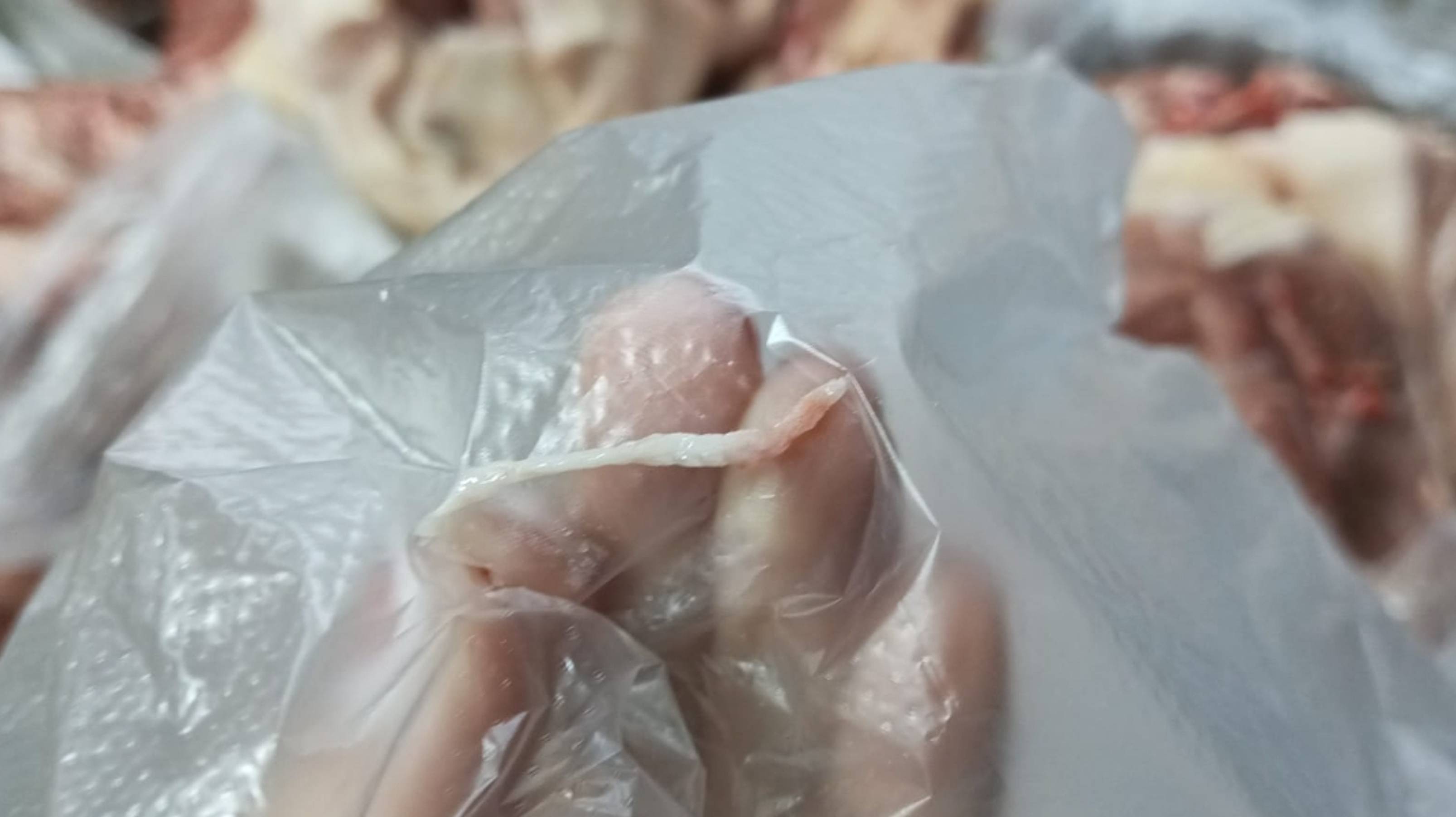 ШОК!!!!! Светофор Кострома. Черви в мясе!!!