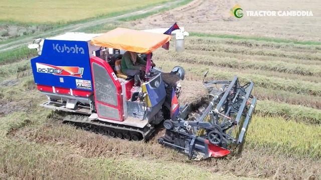 Combine Harvester Kubota DC105X Harvesting Rice | Safety Operator Rice Cutting Machine Skills Worke