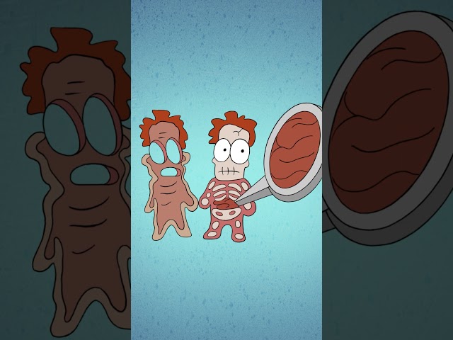 Что если долго стоять неподвижно? #анимация #недвигаться #meetarnold