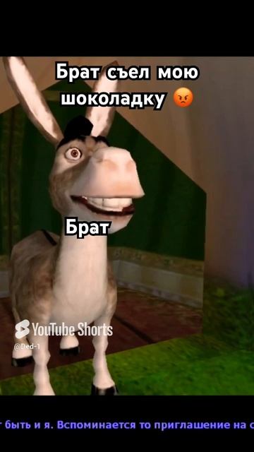 5 февраля 2025 г.