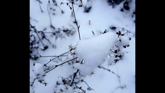 05-02-2025 утренняя прогулка вдоль реки