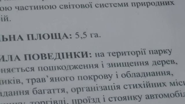 Киев 16 11 2022г  мокрая среда