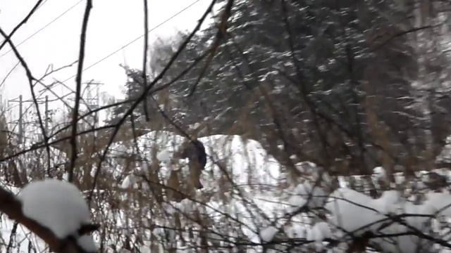 Тренировка 21.01.2012. Чуть не спалили)