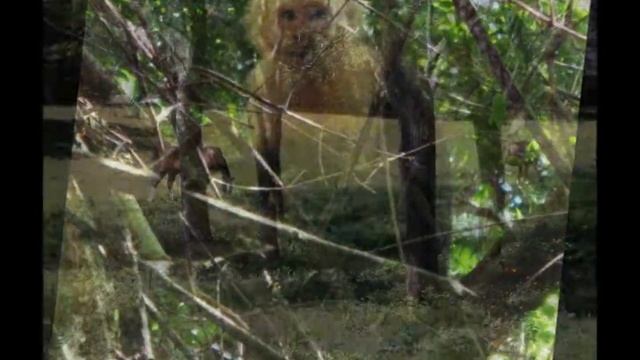 Rincon de la Vieja Park, Costa Rica in 30 seconds