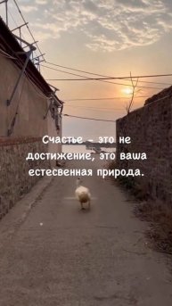 Ты есть любовь🙏🏻
