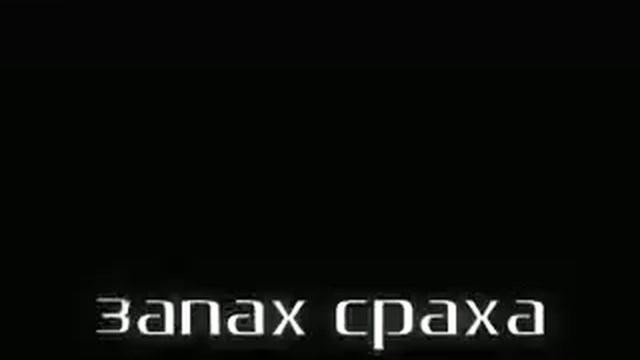 хорек сися