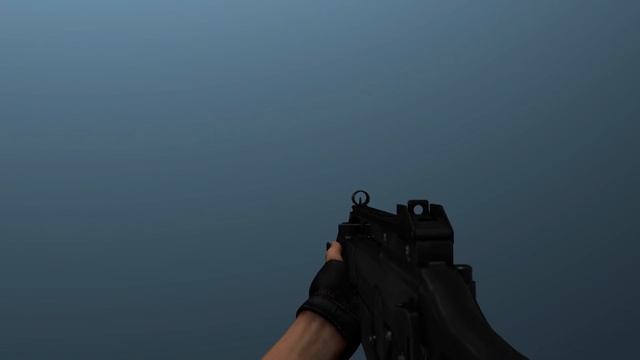 HK G36