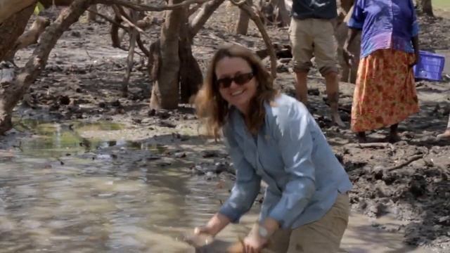 Sawfish survival