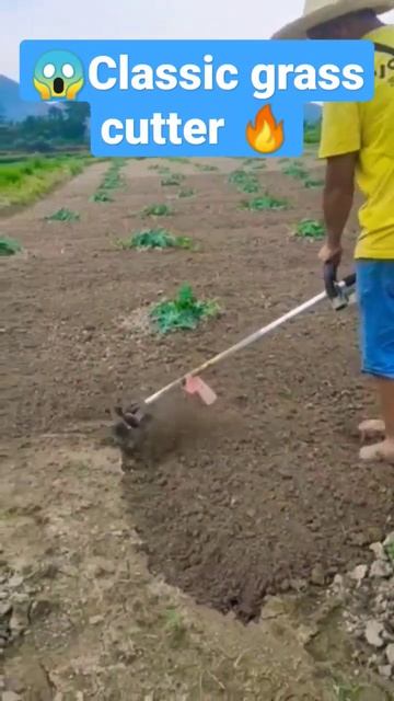 Grass cutter Machine. #shorts #agriculture #trending #viral #grass #youtubeshorts #farmer