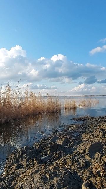 лиман лебяжий Краснодарский край