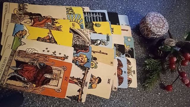 VID_20250205_181930.mp4