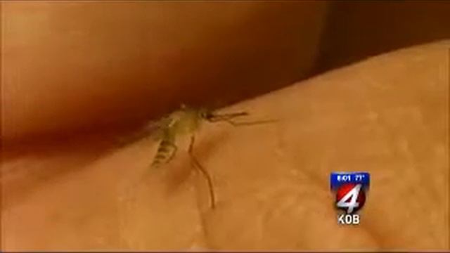 West Nile - KOB-TV Story