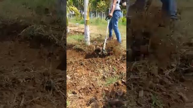 Backpack brush-cutter with rotary weeder attachment