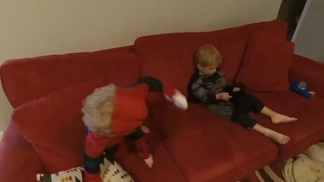 Spider-Man, Batman, and a Used Vacuum