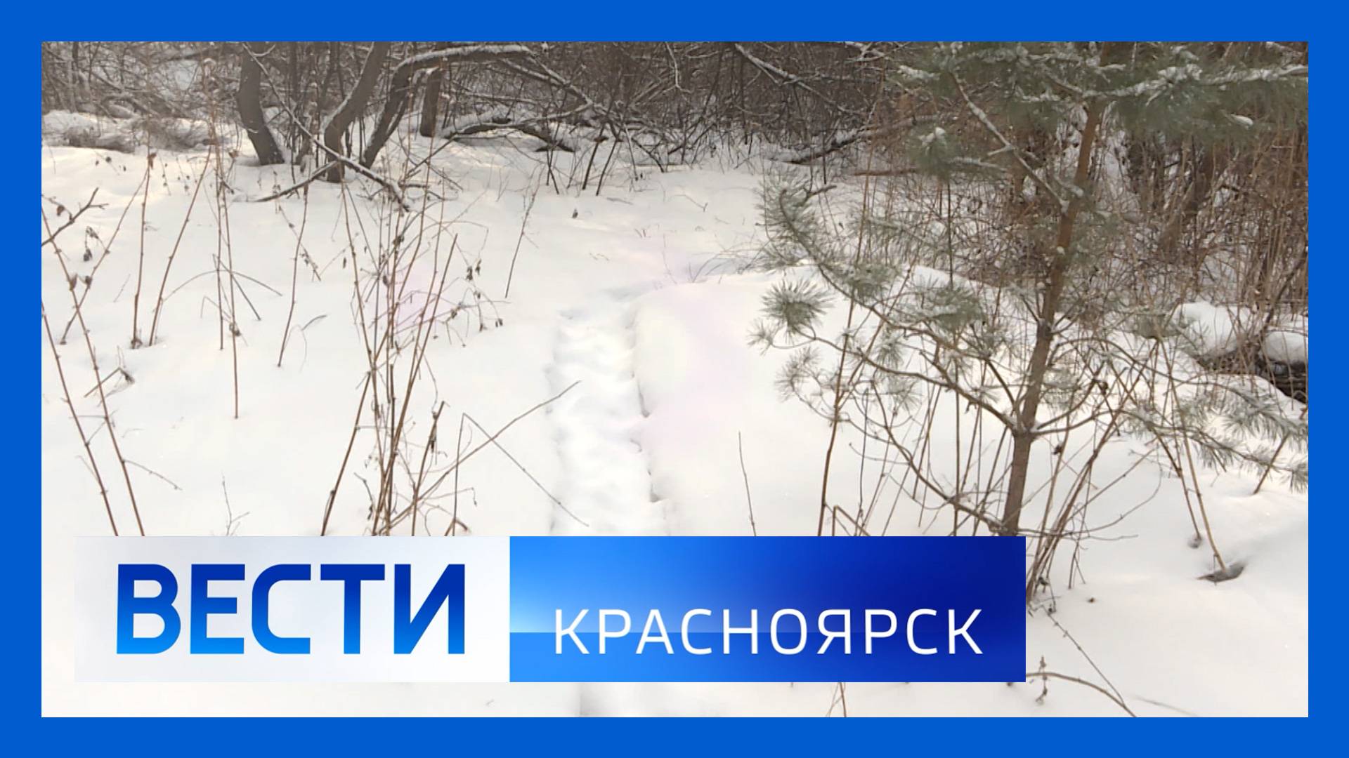 Вести. Красноярск от 29.01.2025