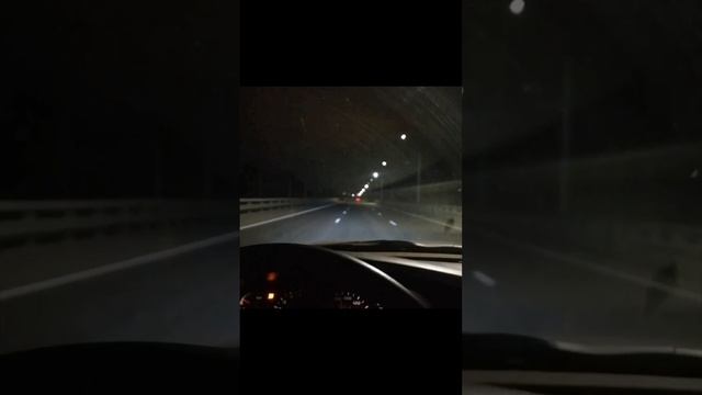 Дорога домой