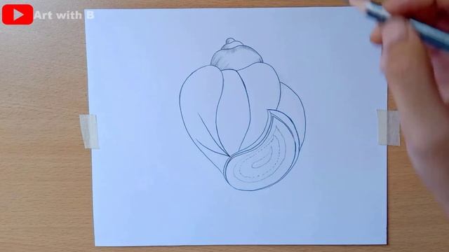 how to draw a apple snail diagram  | how to draw pila | how to draw a snail easily |  pila globosa