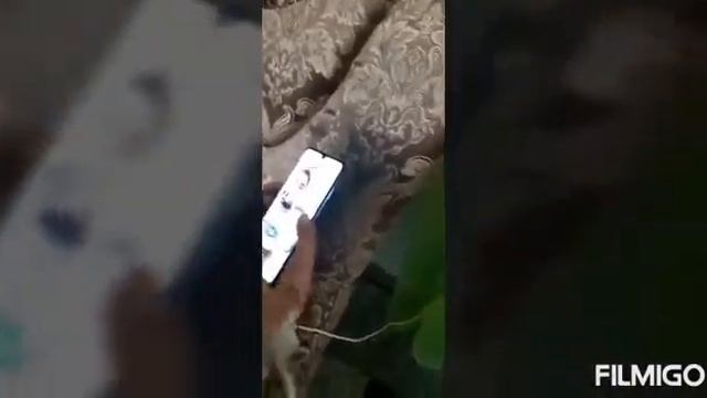 Пранкую свого брата 24 часа./вин мане набив