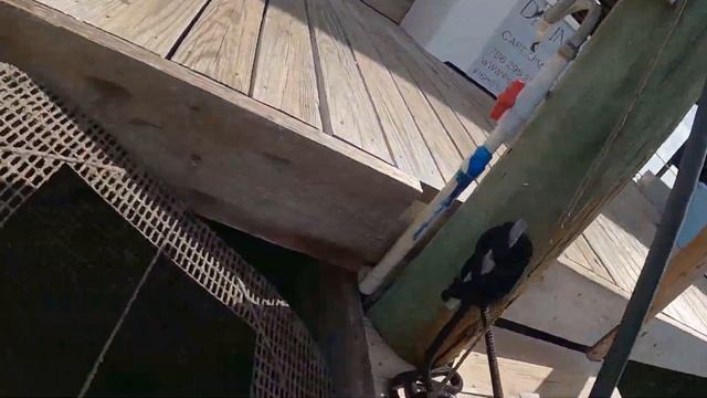 How I keep my bait alive overnight in my boat (without having to keep it in a bait pen!)