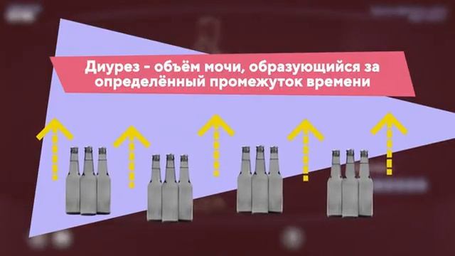 Хочу всё знать 16