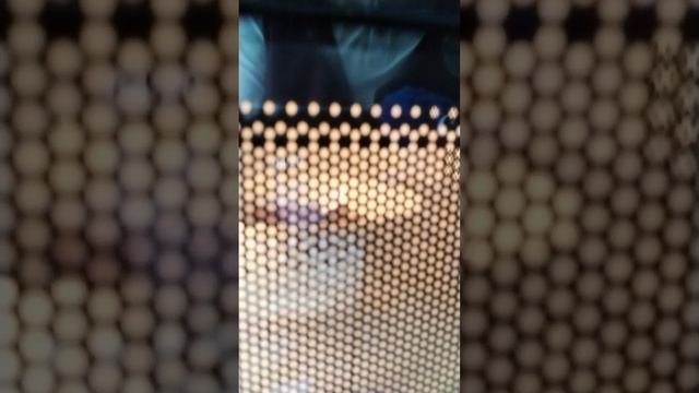 1000002486.mp4