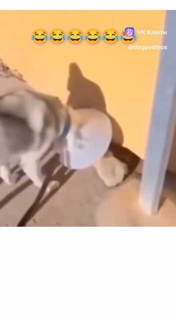 😂