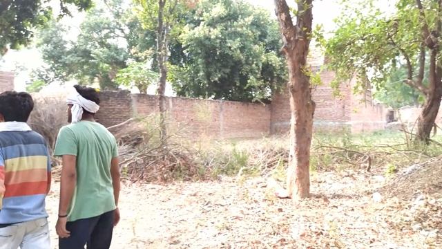 TAPKA CHOR ||Team Shadma boyz||TSB