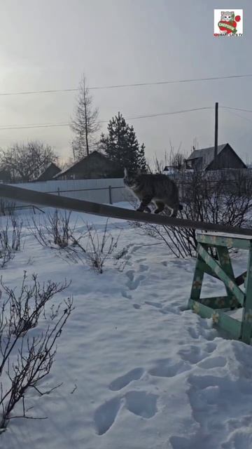 Пуся надо с тебя брать пример 🌞💪😻