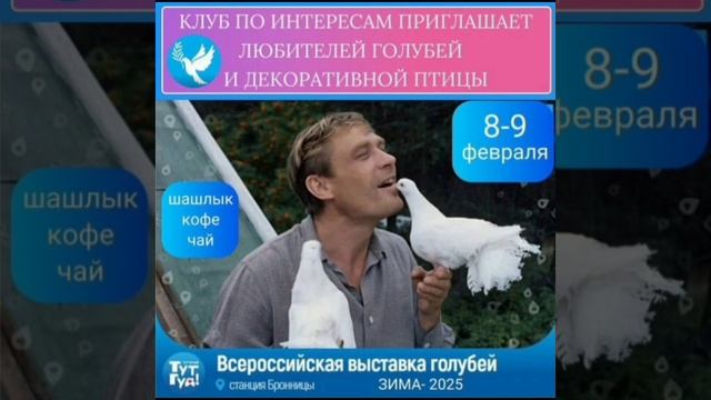 8-9 Февраля Состоится Ярмарка Голубей ст. Бронницы👍+7 985 289-69-09 Александр