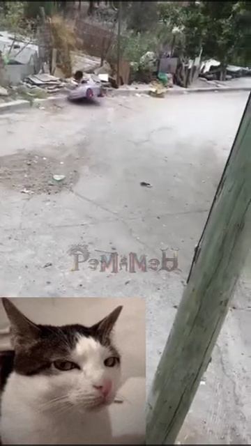 баранка с детство не для неё 😁