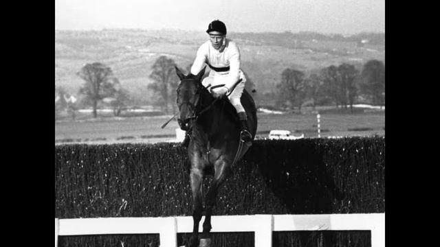 Dominic Behan Arkle